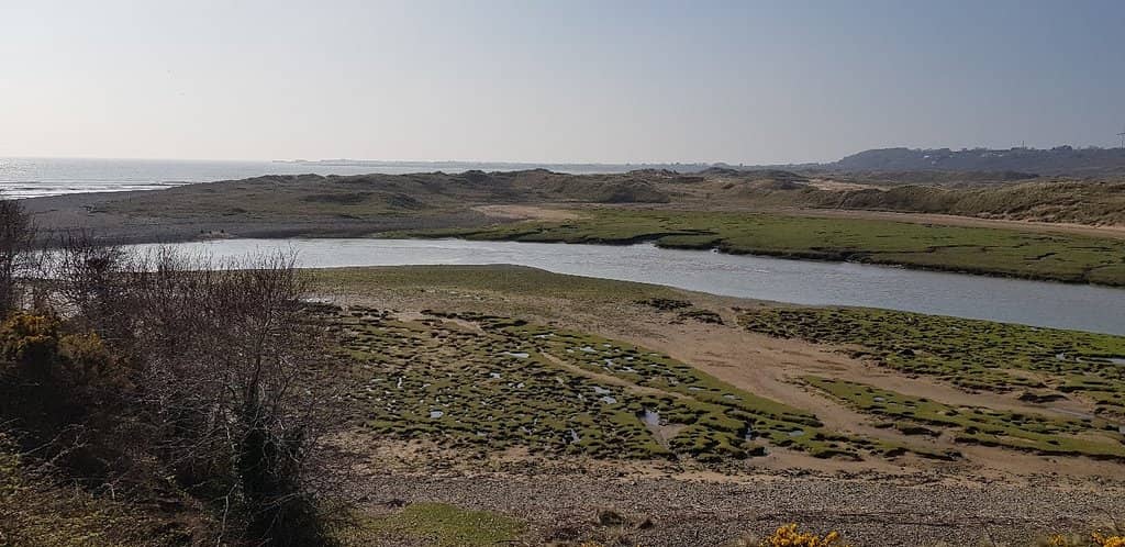 Salt Marshes & Estuary