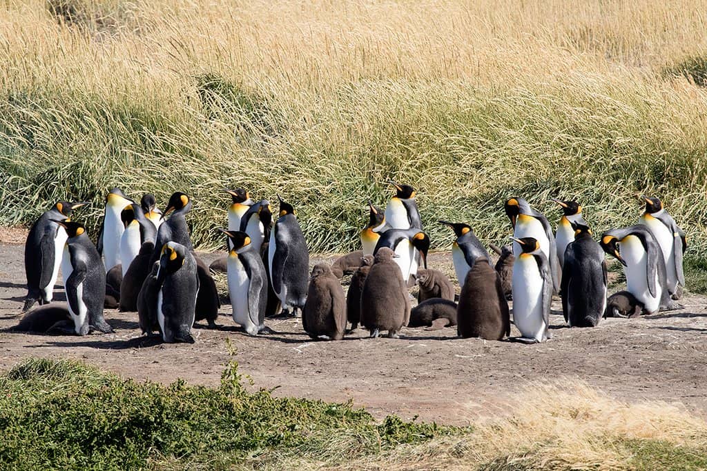 On-site Observation Points