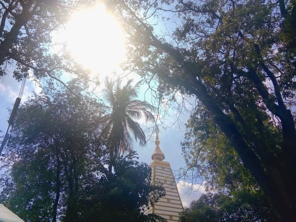 Vertical photo