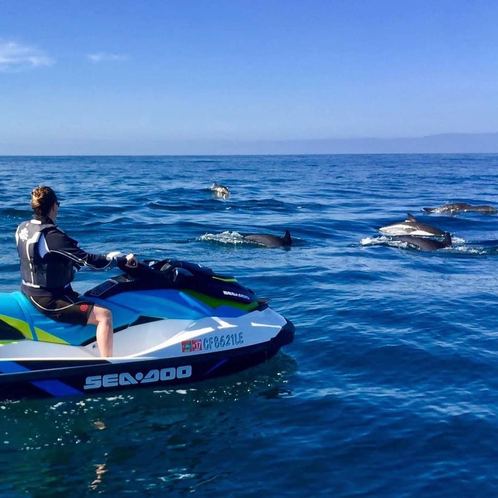 Seasonal Boat Parades