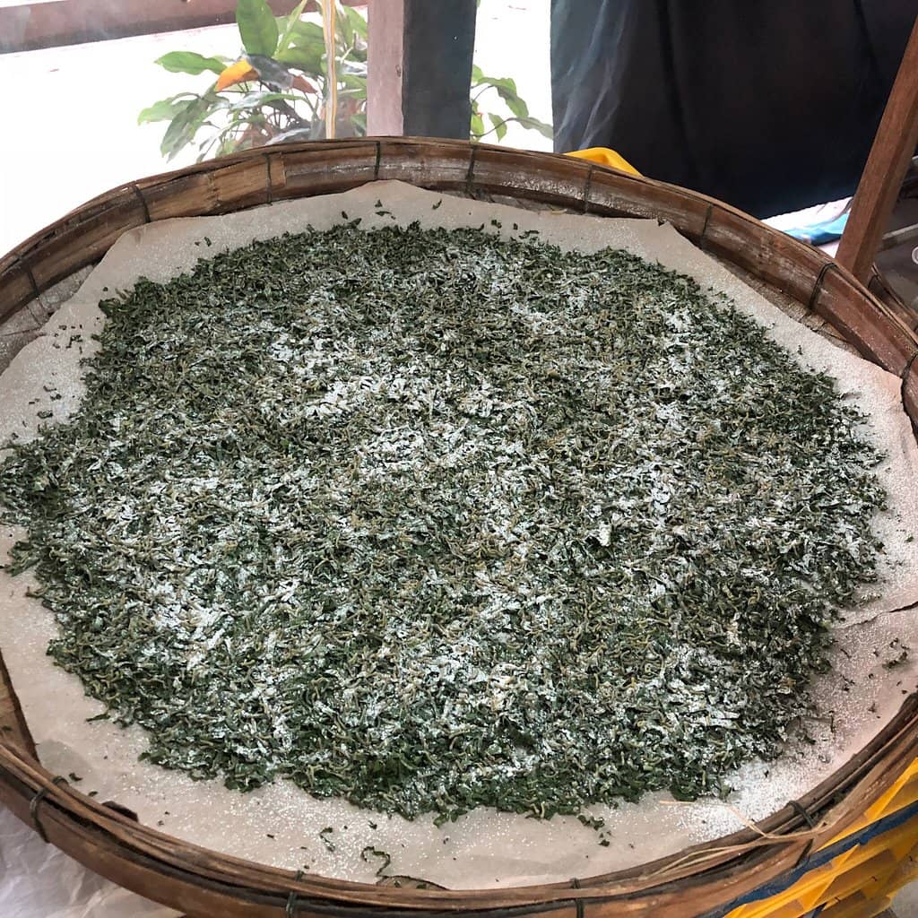 Silkworm Exhibit