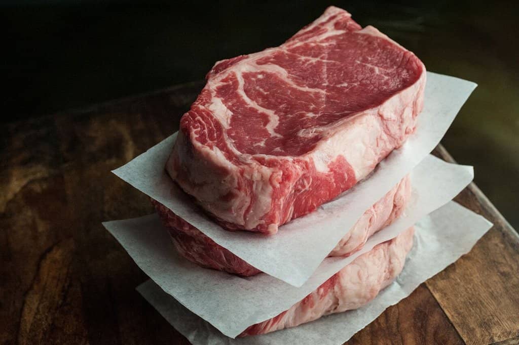 Pet-Friendly Atmosphere