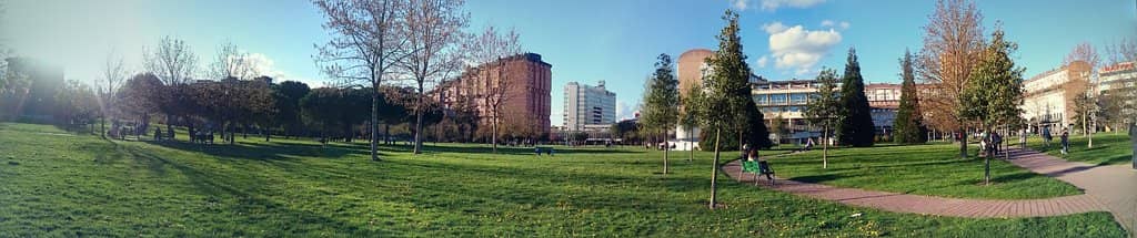 Vertical photo