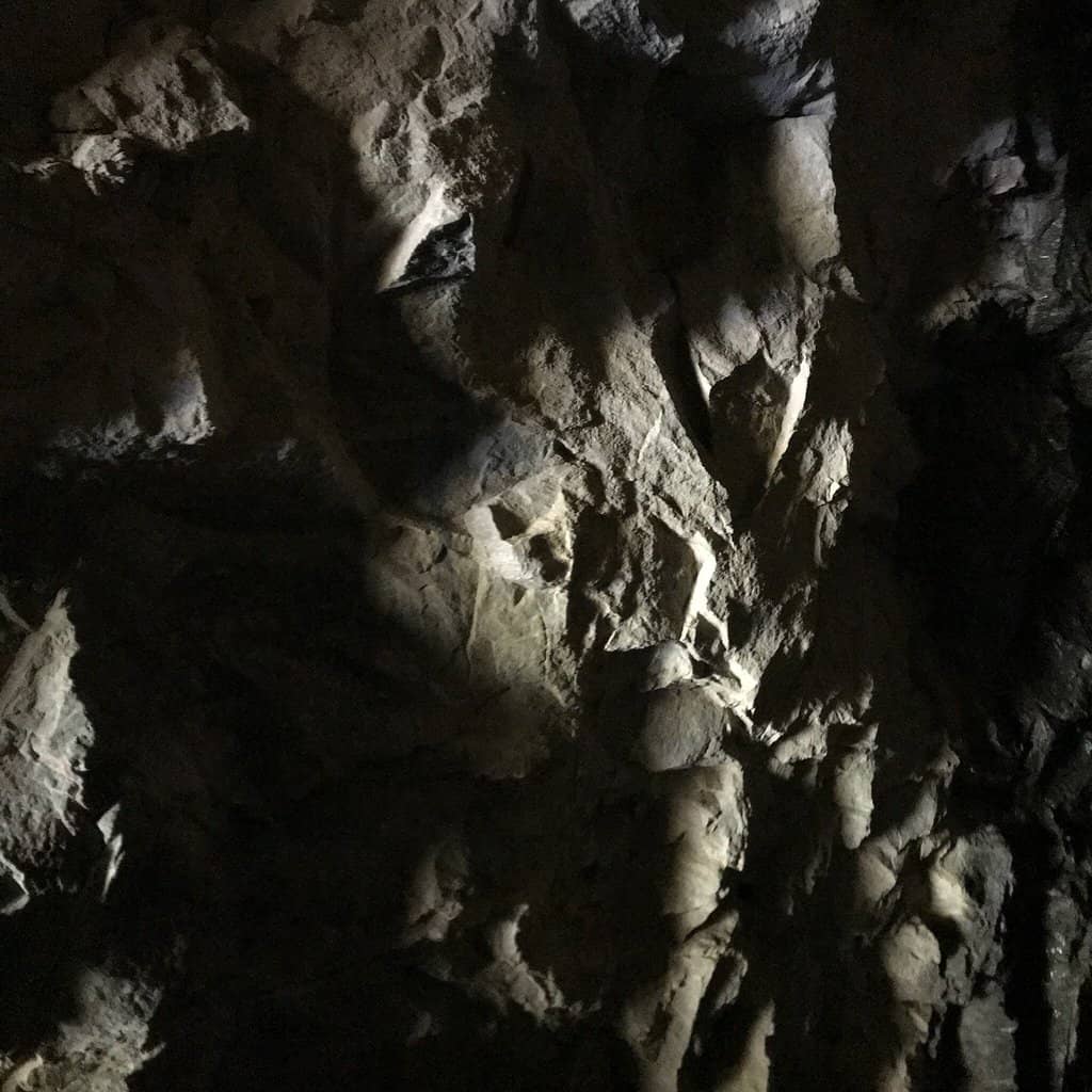 Palmetto Trail Section