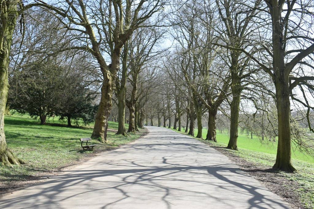 Monet Garden & HESCO Garden