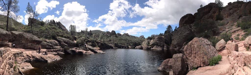 California Condor Spotting