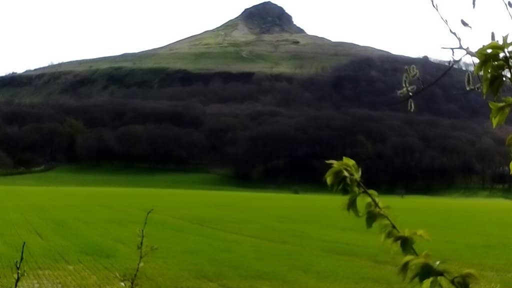 Distinctive Peak