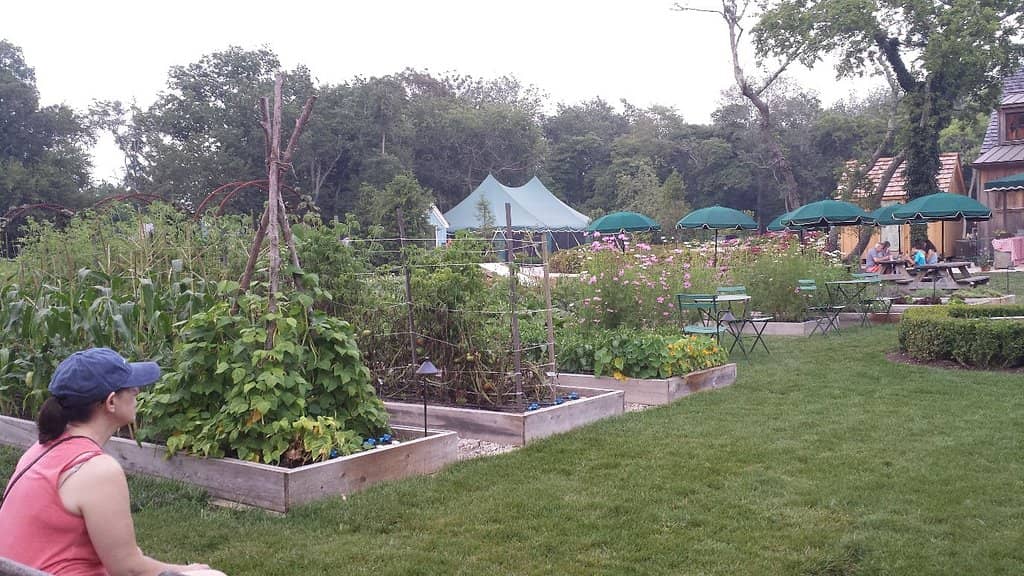 Farm Market