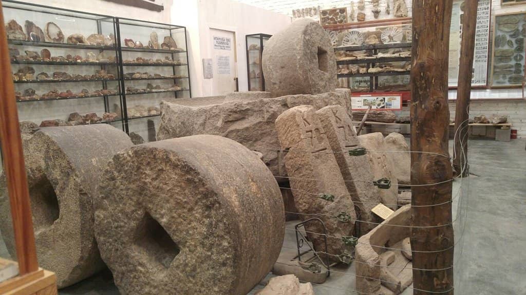 Natural History Exhibits