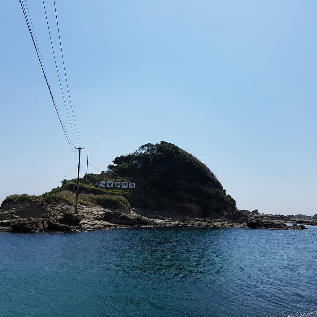 Red Spider Lily Blooms