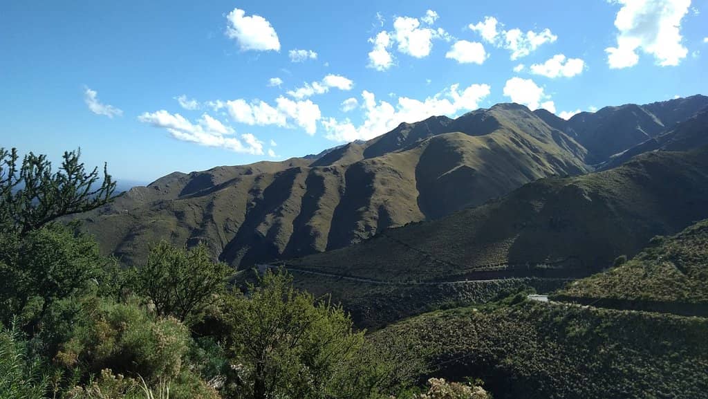 Panoramic Views