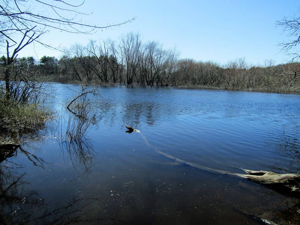 Colonial Springs Bottling Plant Ruins