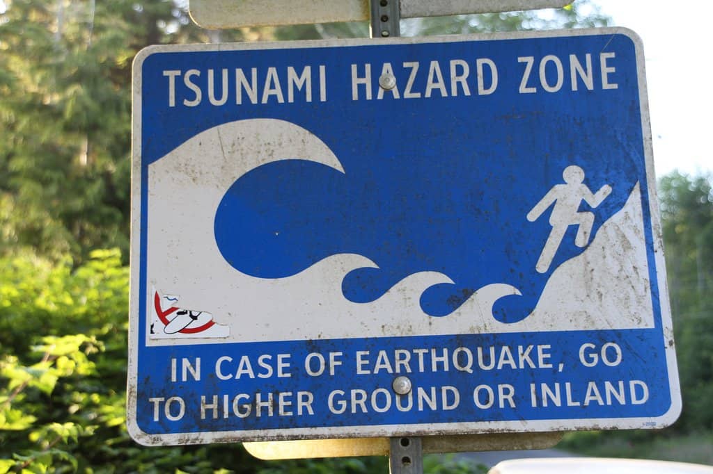 Surfing Paradise