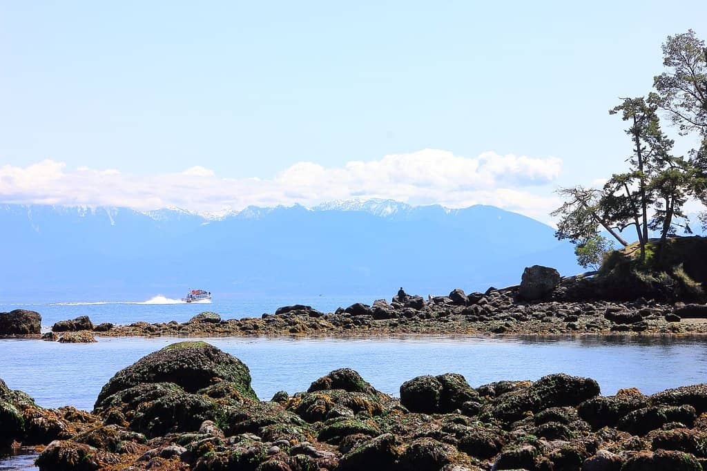 Iron Mine Bay Trail