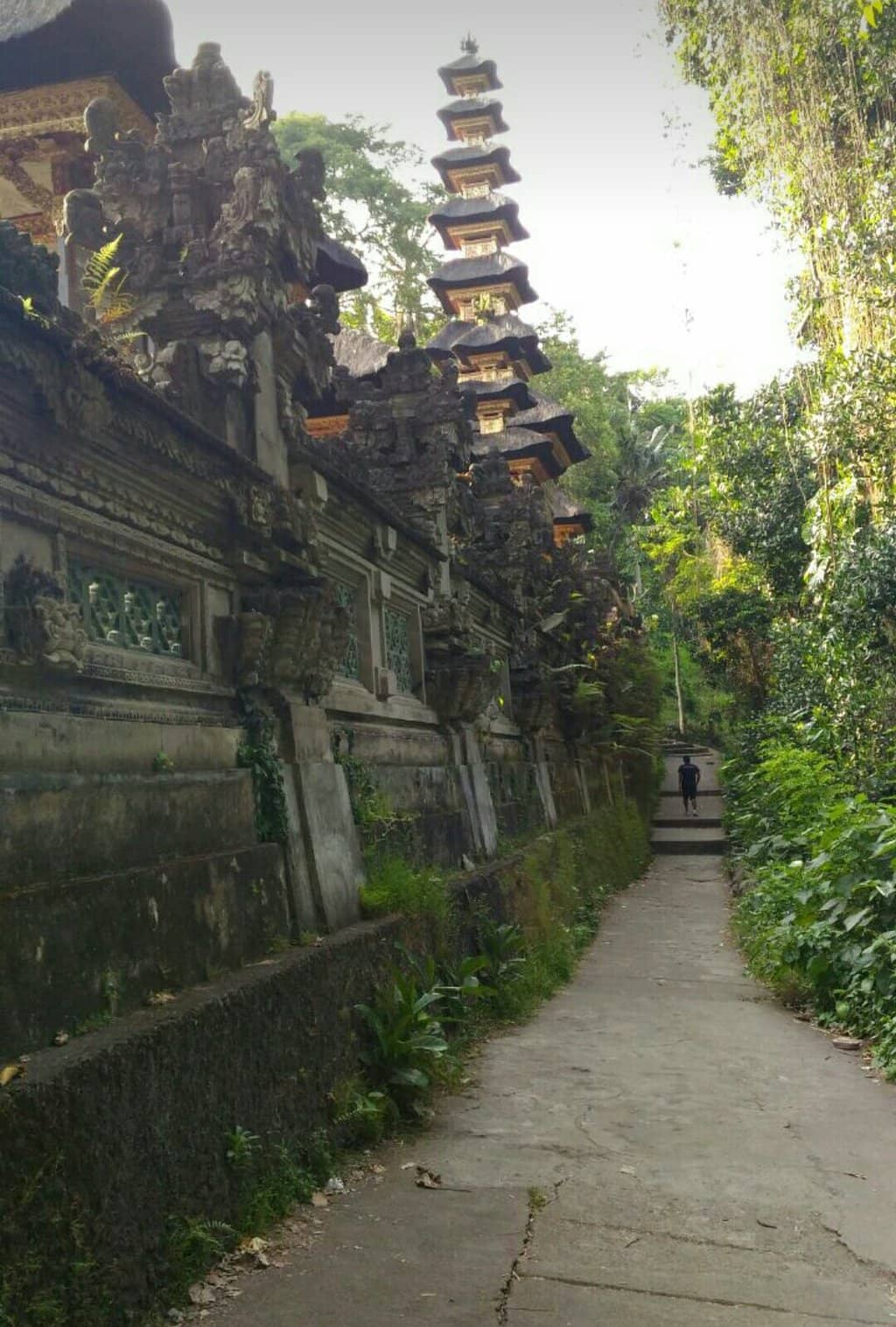 Panoramic Hilltop Views