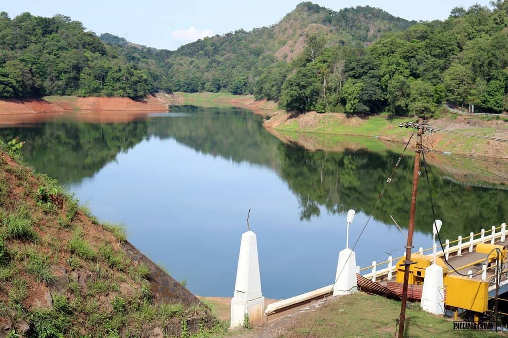 Hydroelectric Power Insights