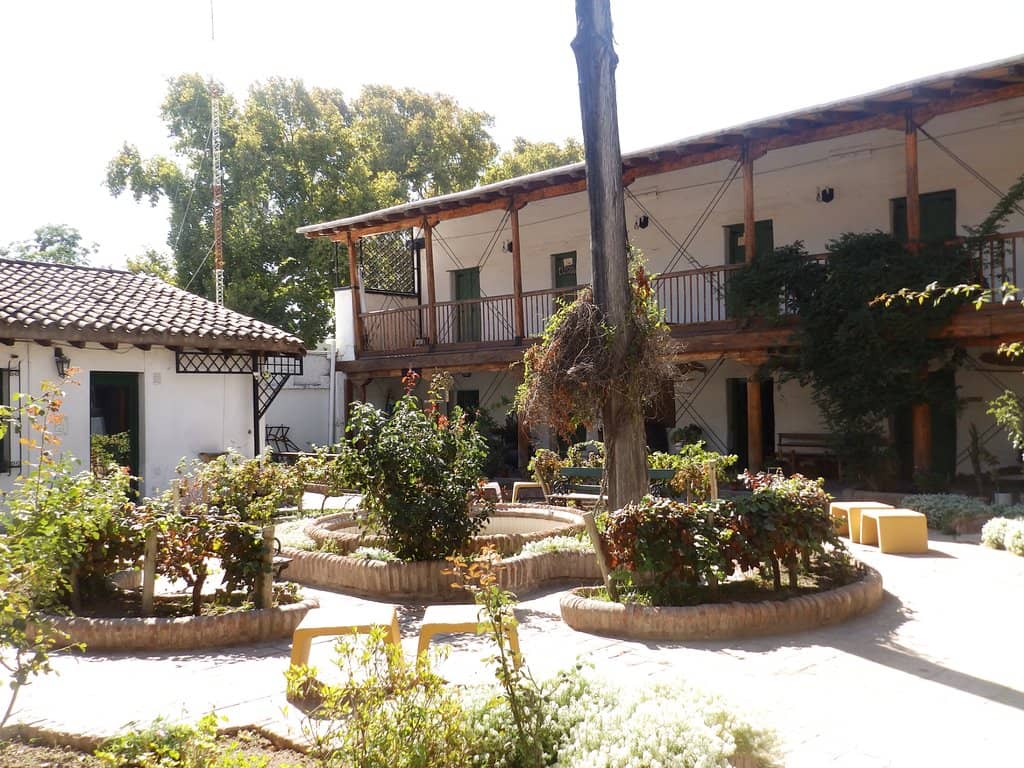 Vineyard Surroundings