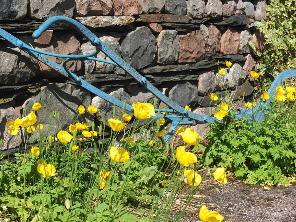 Clan MacDonald & Campbell History
