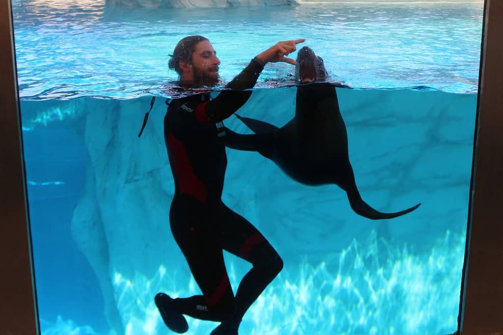 Diverse Marine Life