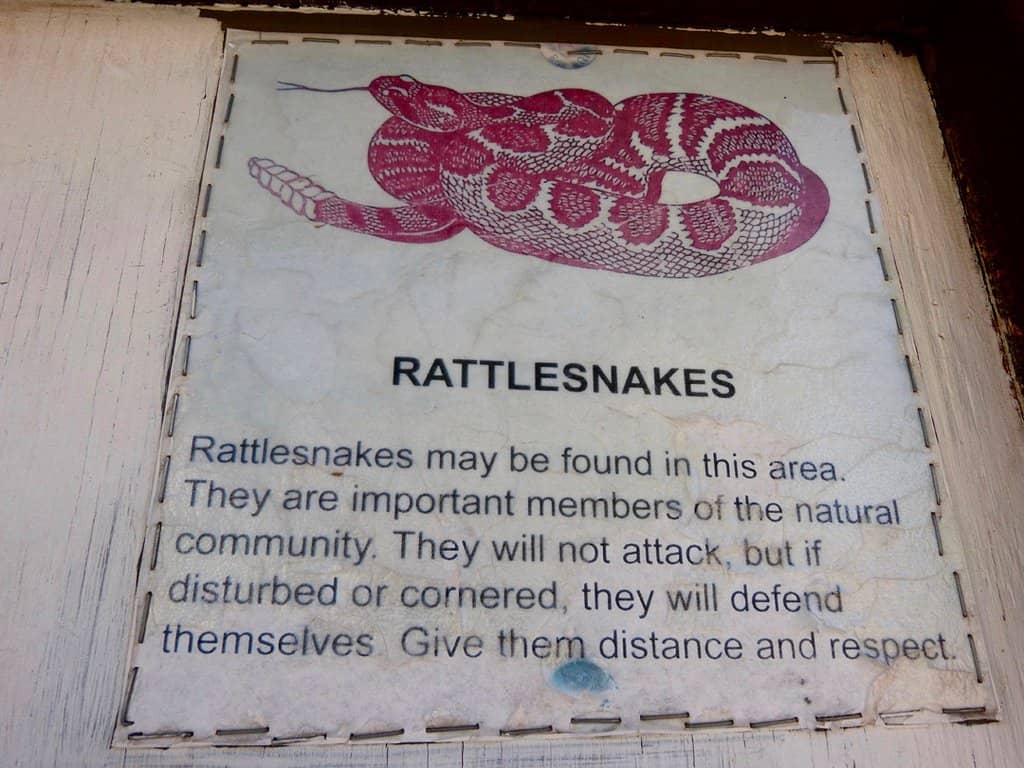 Wildlife Sightings