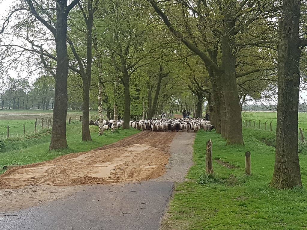 Scenic Walking Route