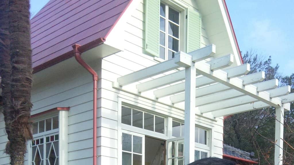 Dondoko Forest Atmosphere