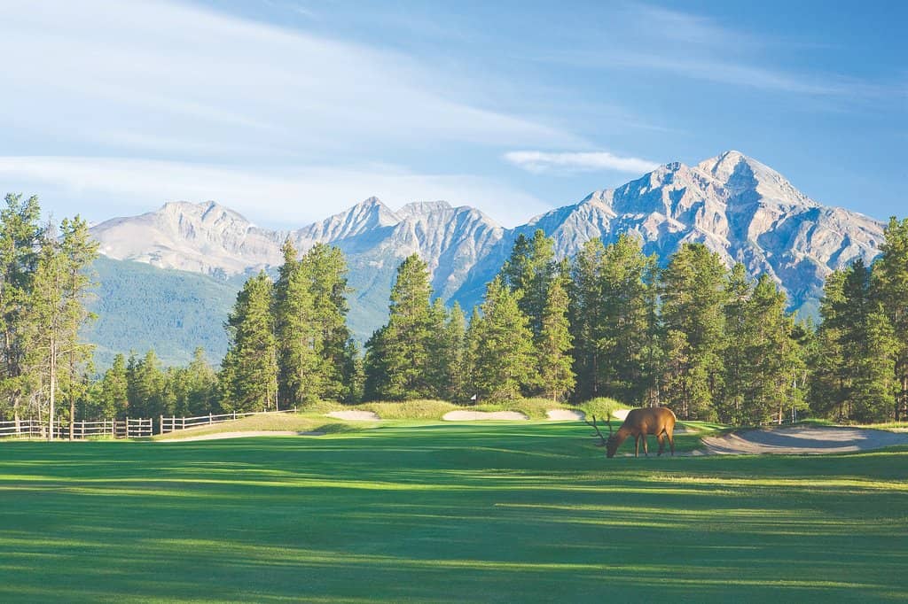 Signature Hole Views