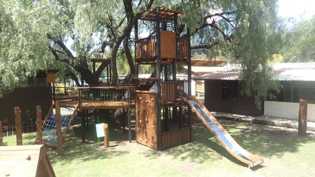 Cacti and Desert Garden