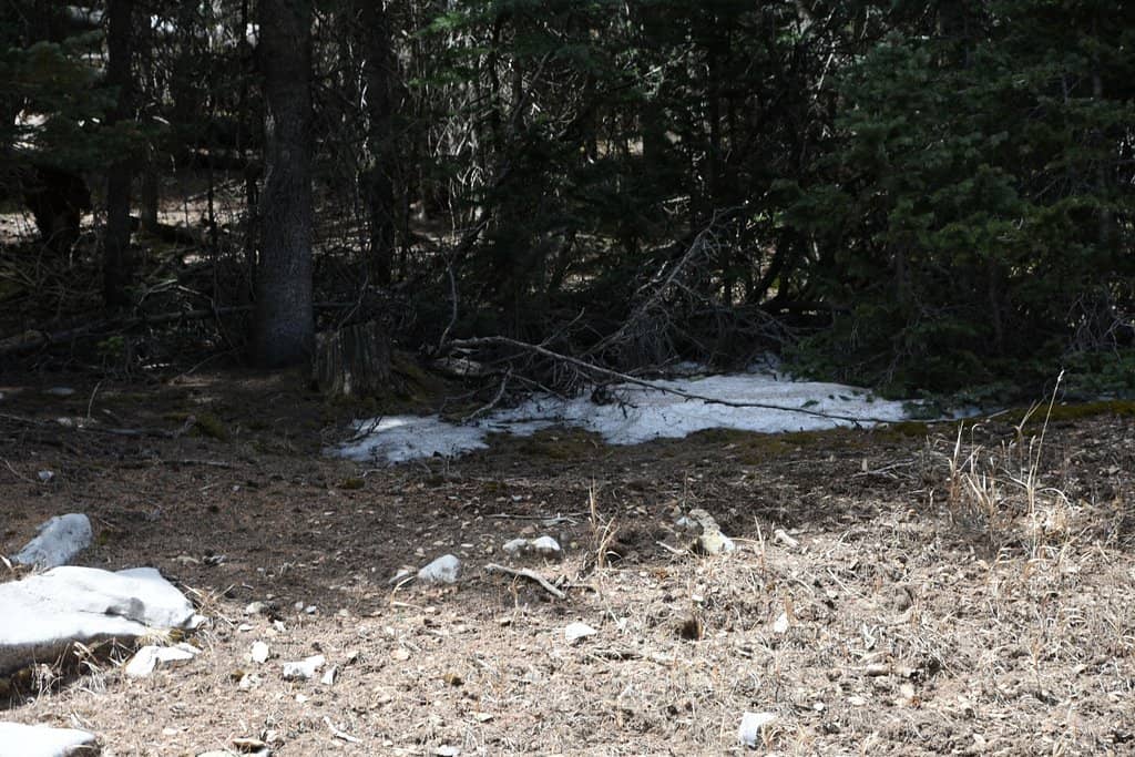 Kiwanis Cabin