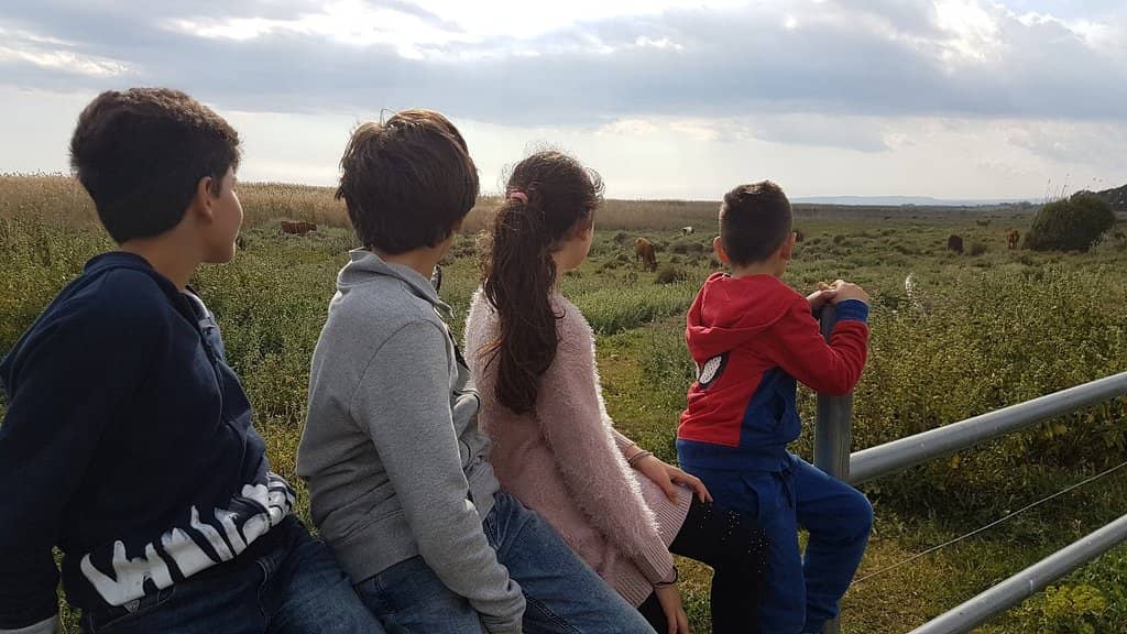 Peaceful Wildlife Encounters