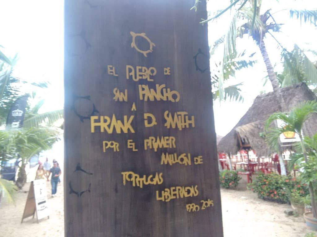 Surfing & Water Sports