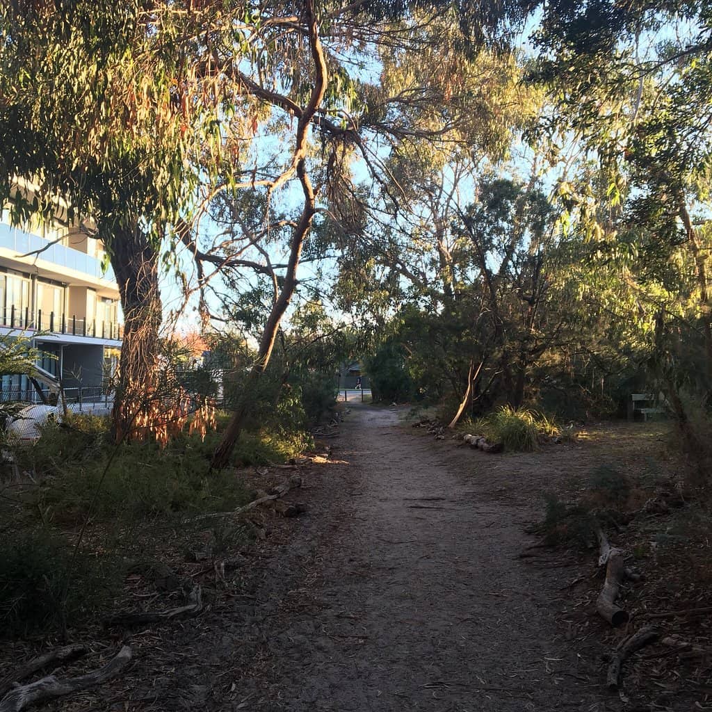 Birdwatching Opportunities