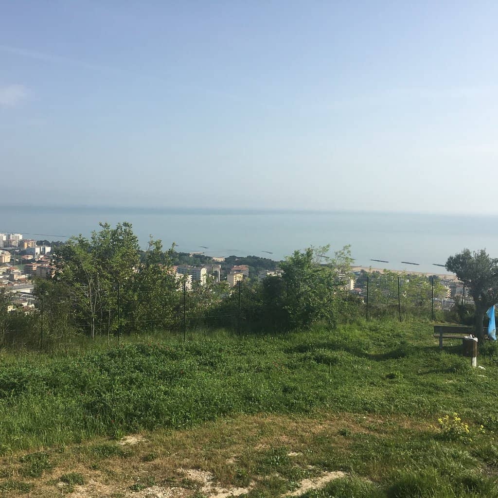 Illuminated Park Evenings