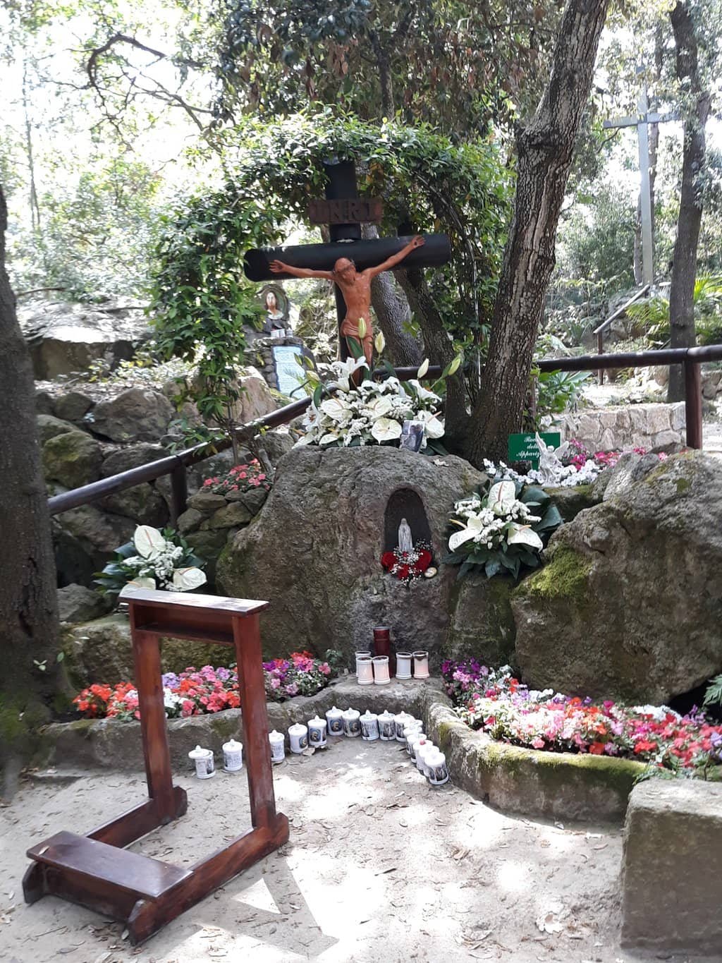 Forest Walk Approach