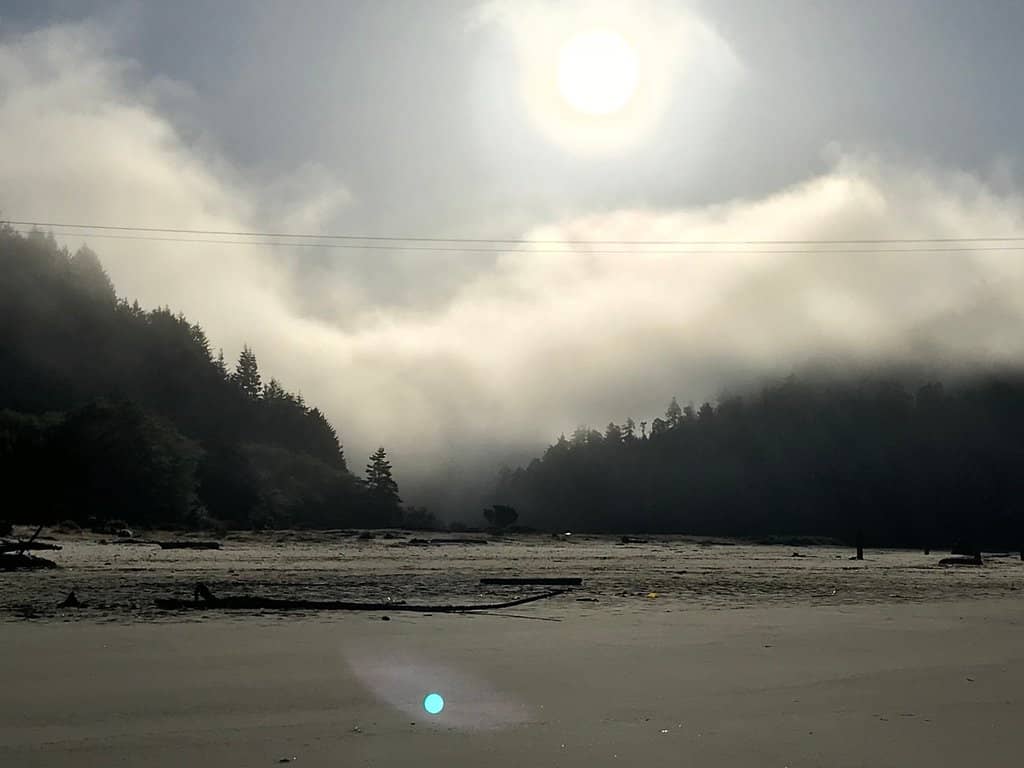 Dog-Friendly Strolls