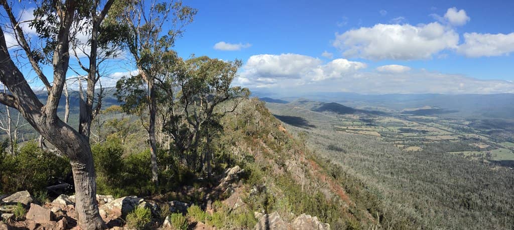 Wells Cave Track