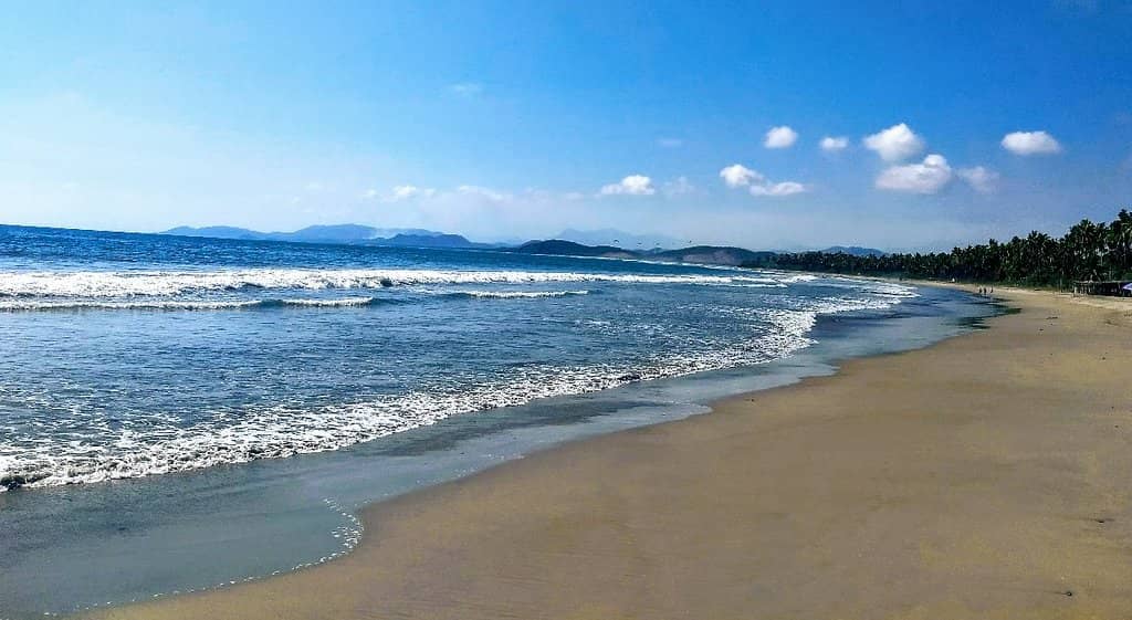 Crocodile Estuary