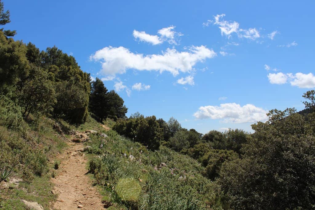 Pico de la Concha