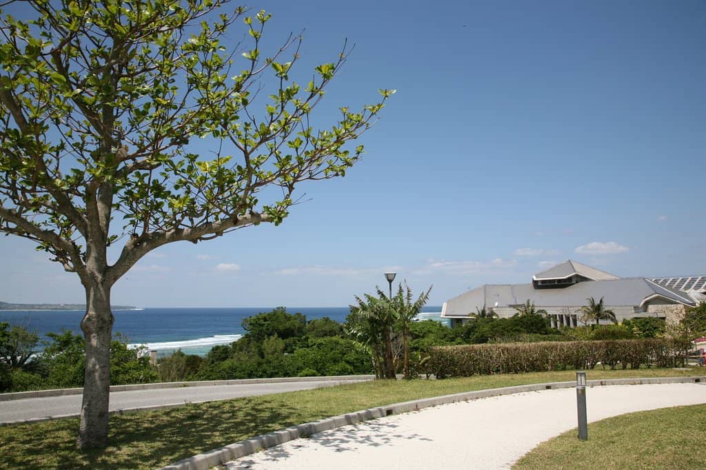 Sea Turtle and Manatee Sanctuaries