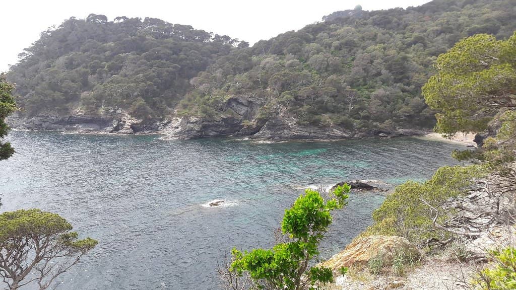 Wild Mediterranean Landscape