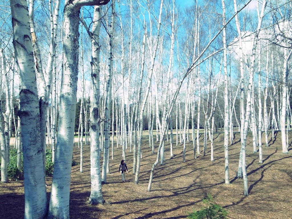 Vertical photo