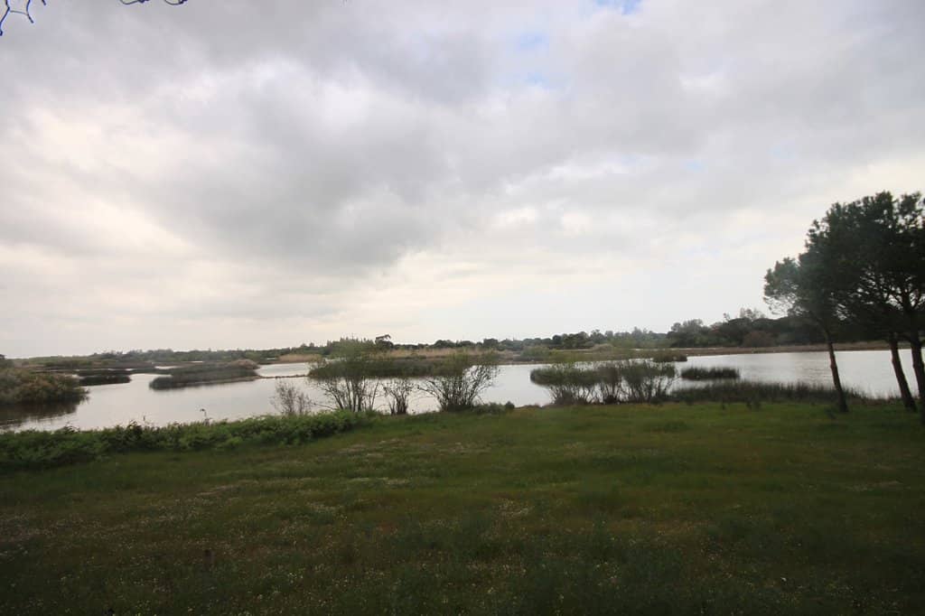 Visitor Center Information