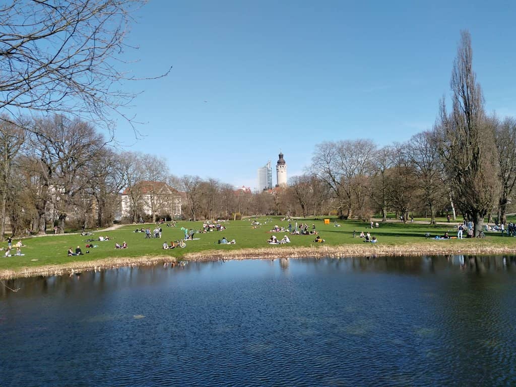Vibrant Autumn Foliage