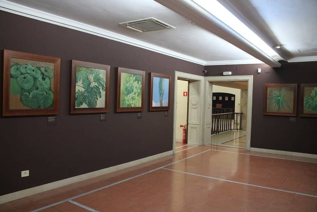 Parque Doramas Setting