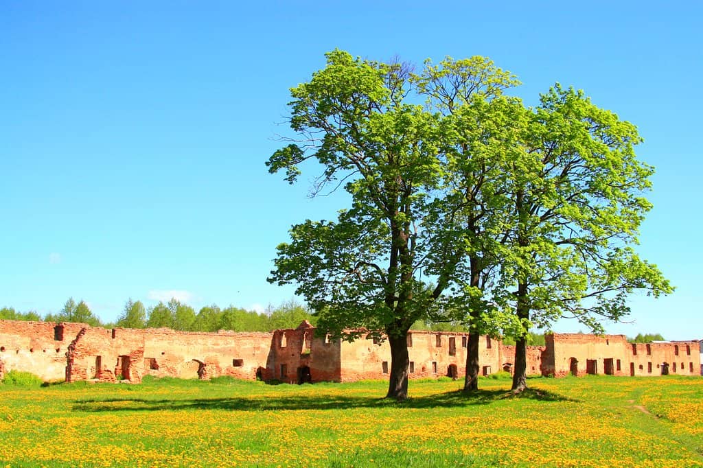 Bell Tower Remnants