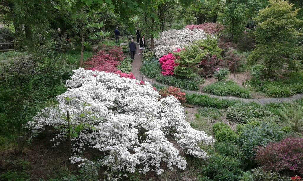 Panoramic Gorizia Views
