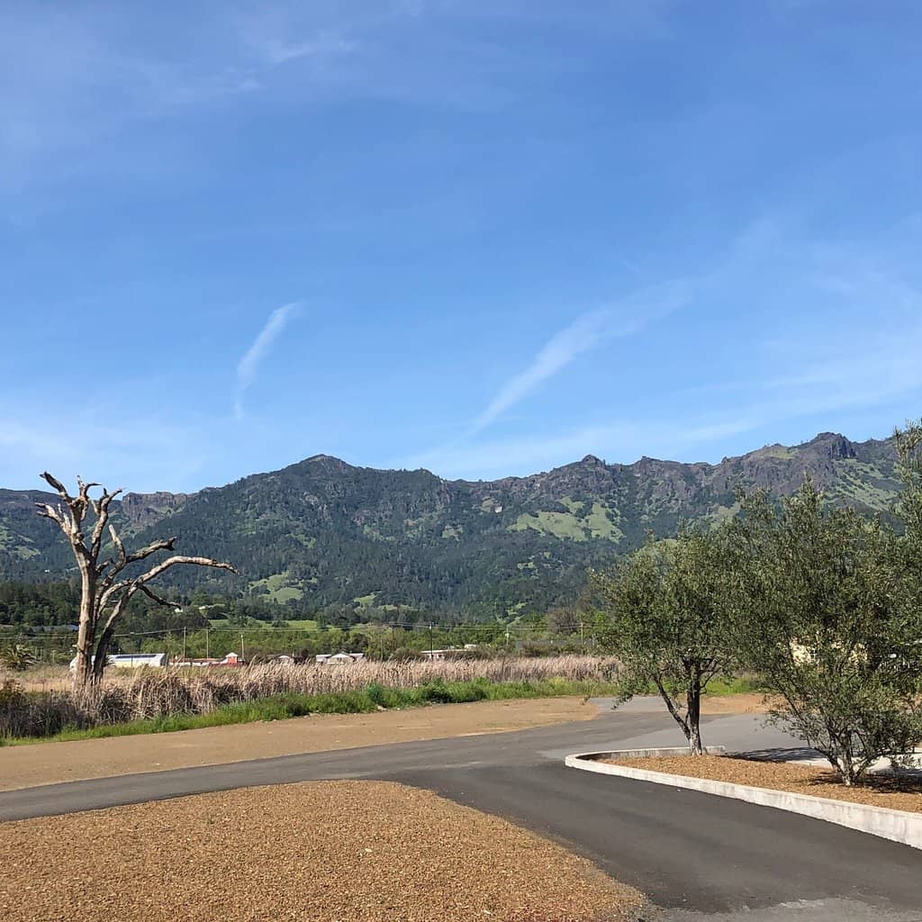 Stunning Vineyard Views