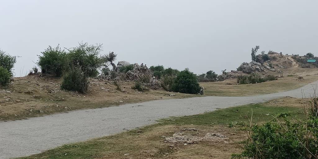 Panoramic Himalayan Views