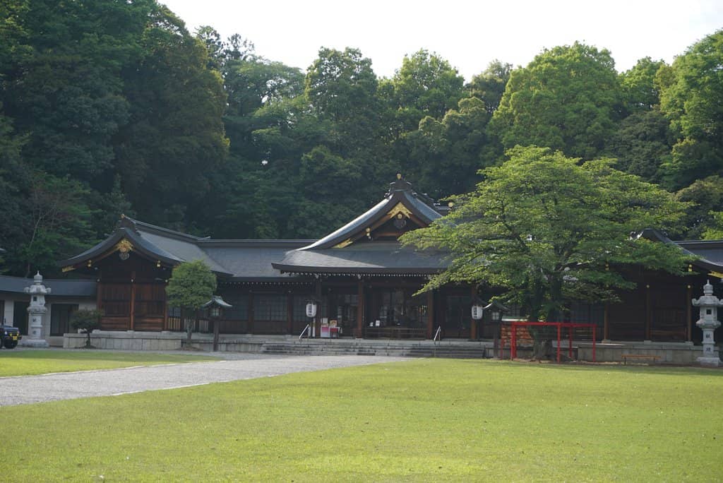 Highlights