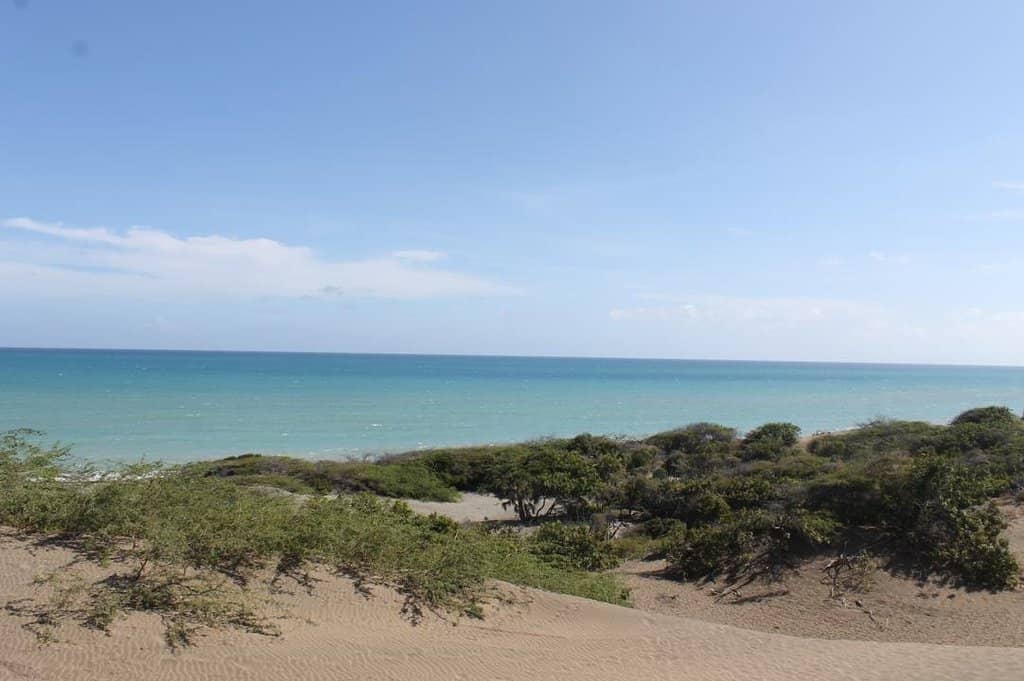 Expansive Sand Dunes